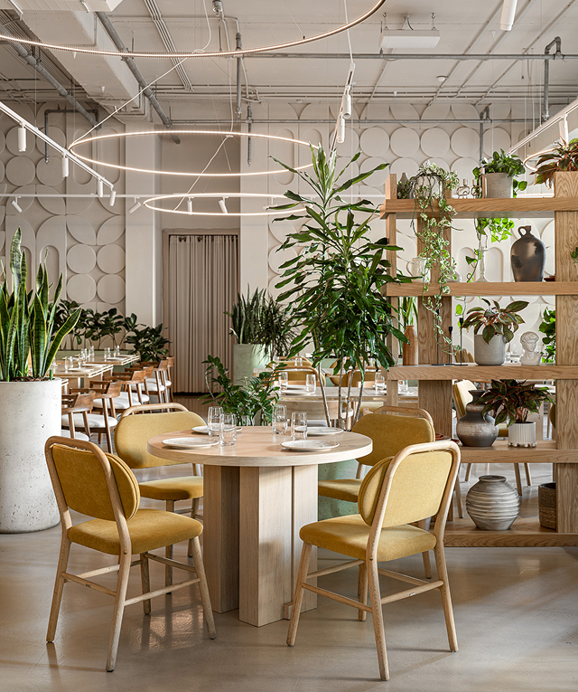 Dito Italiano trattoria